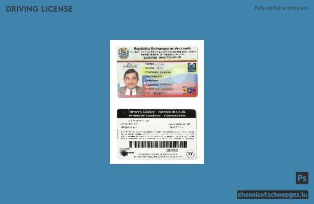 Beispiel für einen venezolanischen Führerschein
